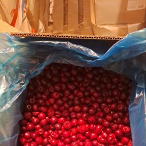 с/м Вишня без косточек