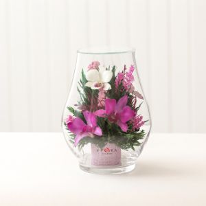 Белые, сиренево-белые и страйп орхидеи в среднем бутоне розы