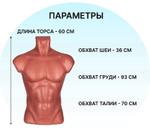 Манекен торс мужской телесный