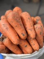 Морковь столовая оптом (ТТ-Агро)