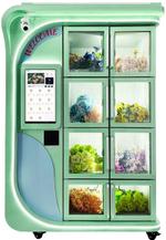 Вендинговый аппарат. Цветы Grand Coffee Цветочный аппарат YX01 KFTI-662-VER