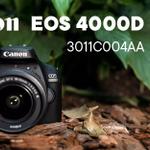 Canon EOS 4000D — доступная зеркалка для начинающих оптом