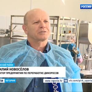 Дары Югры - сбор и переработка дикоросов