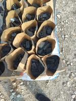 Древесный уголь оптом 3 кг, берёзовый уголь оптом 3 кг