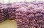 АгроКемТорг — картофель оптом от производителя