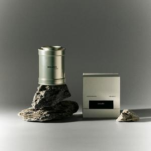 Солвия  для авто