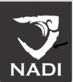 NADI — спортивные товары оптом
