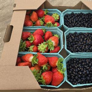 Свежие ягоды в летний сезон