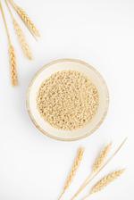 Ячменный текстурат Протекс-А Партнер-М Протекс-А