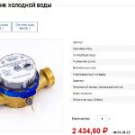 Псковский районный центр культуры закупил счетчик холодной воды ВСХ-20