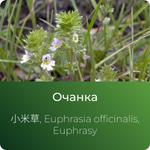Очанки экстракт сухой https://altai-extracts.ru/ochanka
