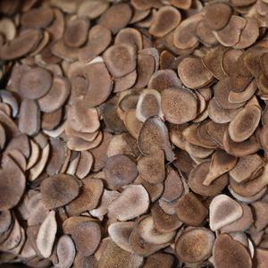 Слайсы пантов пятнистого оленя представляют собой тонкие срезы молодых рогов (пантов) пятнистых оленей. Они широко используются в традиционной китайской медицине благодаря своим лечебным свойствам. Считается, что панты содержат большое количество биологически активных веществ, включая аминокислоты, минералы и витамины, которые способствуют укреплению иммунитета, улучшению кровообращения и повышению общего уровня энергии.

▌ Полезные свойства слайсов пантов пятнистого оленя:

- Укрепление иммунной системы: помогают организму бороться с инфекциями и заболеваниями.
- Повышение выносливости: увеличивают физическую активность и снижают усталость.
- Регуляция кровяного давления: улучшают кровообращение и нормализуют давление.
- Поддержка здоровья суставов: облегчают боли и воспаления в суставах.
- Антивозрастные эффекты: замедляют процессы старения организма.

▌ Как правильно употреблять слайсы пантов?

Для достижения наилучших результатов рекомендуется употреблять слайсы пантов регулярно. Обычно их принимают следующим образом:

1. Отваривание: замочите слайсы в горячей воде на несколько минут, затем отваривайте в течение 10-15 минут.
2. Приготовление бульона: добавьте слайсы в мясной или овощной бульон и варите вместе с остальными ингредиентами.
3. Настойка: залейте слайсы спиртом или водкой и настаивайте в течение нескольких недель.

Важно помнить, что перед началом приёма любых лекарственных препаратов или добавок, включая слайсы пантов, необходимо проконсультироваться с врачом.