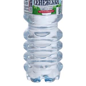 Вода Сенежская 0,5 л негаз.