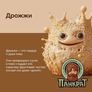 Ищете натуральный способ улучшить здоровье и повысить энергию? 
Почему выбираем наши пивные дрожжи?
100% натуральный продукт

Богаты витаминами группы В, минералами и белками

Поддерживают иммунитет и улучшают обмен веществ