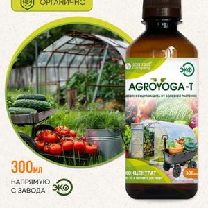 Средство «AGROYOGA–Т» – предназначено для дезинфекционной
обработки садового инвентаря, теплиц, парников, запасов поливочной
воды, мест хранения урожая, бытовых помещений. «AGROYOGA–Т» -
высокоэффективное
средство
профилактики
широкого
инфекционных болезней и патогенных поражений растений. НЕ ТРЕБУЕТ
СМЫВАНИЯ!
Следует учесть, что споры Фитопатогенов – возбудителей практически всех
видов болезней растений легко переносятся по воздуху и оседают на
различных поверхностях, с которых легко попадают на растения. Помните,
что профилактика болезней гораздо эффективнее, чем лечение!