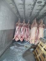 Мясо Свинина Полутуша
