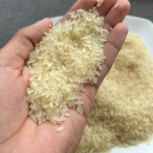 steamed rice
Рис IR-64