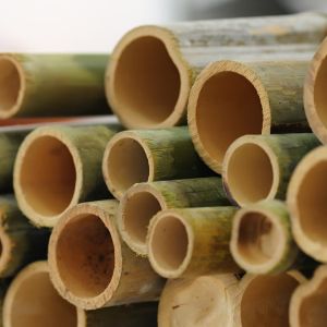 Бамбуковые опоры