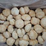 Гриб Ежовик/Львиная Грива