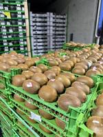 Фрукты оптом