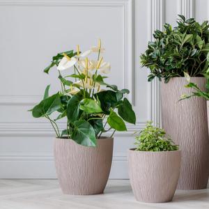 КАШПО
Альтернативная версия наших коллекций, включающая в себя множество дизайнов и размеров в формате кашпо (изделие без поддона и дренажного отверстия), популярная в странах западной Европы, но пока мало распространенная в России.

Изделия большого и среднего размера без поддона.
Для живых и искусственных растений
Предназначены для домашнего использования и профессионального озеленения внутри помещений.
Диаметры от 11 до 44 (см.).
Высота от 10 до 40 (см.).
Объем от 0,6 до 40 (л.).