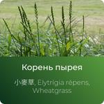 Пырея экстракт сухой https://www.altai-extracts.ru/extract-pyrea