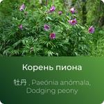 Пиона экстракт сухой https://www.altai-extracts.ru/extract-piona
