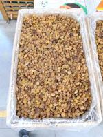 Изюм (Малаяр, Иран)