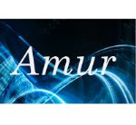 Amur — сувениры из гипса
