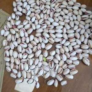 Natural open pistachio 
(Ahmad Aghaee variety)