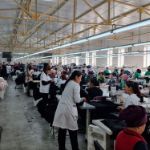 Трикотажная швейная фабрика в Узбекистане