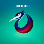 MeierSZ — оптовые продажи из Китая
