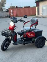 Трицикл X-TREME 1000W