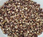 Ordo Agro — бобы жареные оптом из Кыргызстана