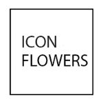 ICON Flowers — тюльпаны оптом на 8 марта