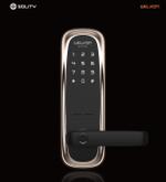 Умный замок Solity WM-650B