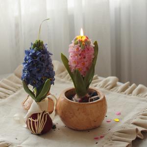 свеча гиацинт