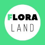Flora Land — оптово-розничная компания по продаже цветов