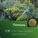 Полыни экстракт сухой https://altai-extracts.ru/polyn