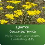 Бессмертника экстракт сухой https://www.altai-extracts.ru/cvetki-bessmertnika