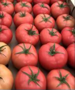 помидоры и огурцы оптом