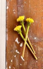 Свечи "Одуванчики"