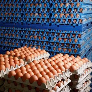 Оптом яйца от 8 руб./шт. — от 5 тонн за поставку. 
Сорта: С0 (отборные), С1, С2.
Всё по ГОСТ, документы в комплекте.