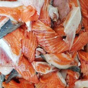 Обрезь форели семги