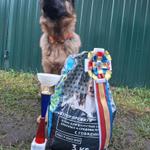 Соревнования по БЗМП, корм Биско спонсор соревнований