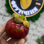 Мангостин 20