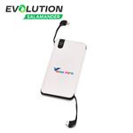 Power bank PB-12 PB-12