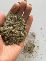 Подсолнечный шрот