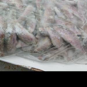 Барабуля оптом блок