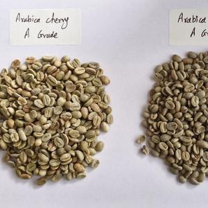 зеленый кофе